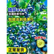 �{ݮ���������܇���ӷNֲˮ���{÷����͏d�����ͺ��ͺ����B�ļ�