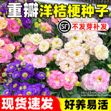 ��۹����� �ذ�󻨻�ɫ�׻��ļ������Ӵ�ȫ������̨���� ������