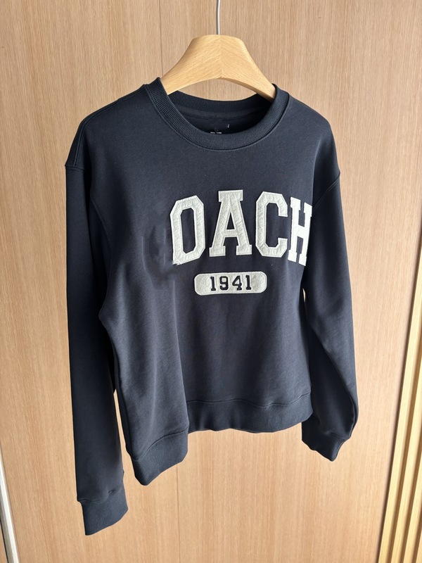 美式蔻家卫衣女CH大字母刺绣贴布大字母圆领韩版卫衣套头百搭上衣|undefined