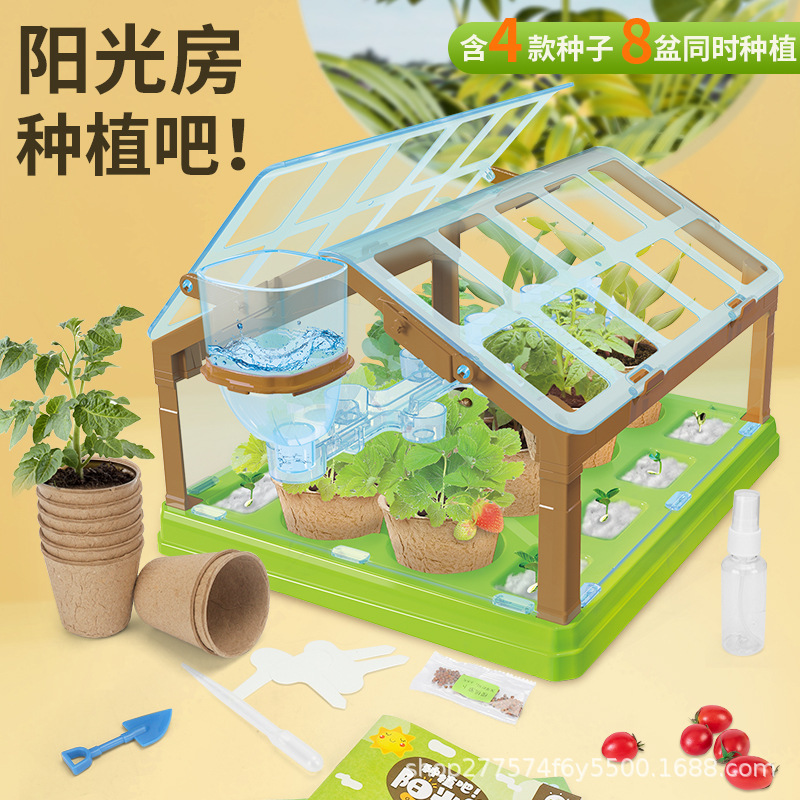 Children's mini planting Sunshine Room fruit and vegetable flower plant growth observation seedling DIY science and education experiment toy