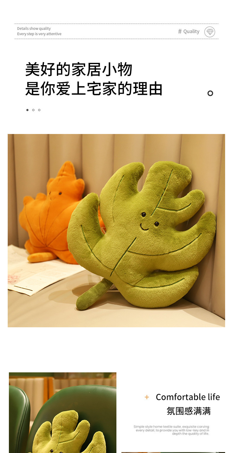 (12).jpg