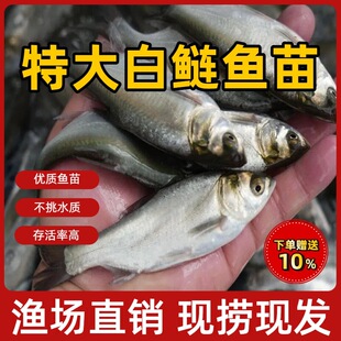 �����~�����Iˮ���������ӻ����~�絭ˮ�~����w���~���~�Ĵ���~