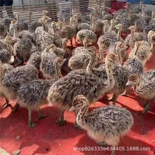 �����r�B����w����Ó���r�B���̳����r�B���_���ٽ�һ�����]����