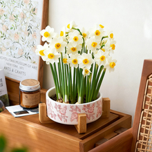 ������ˮ�ɻ��N��ˮ�B���Ի���ֲ���҃�ˮ��Gֲ�ﶬ�ͺ����B���l