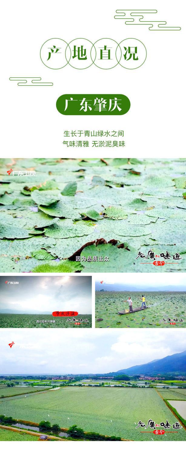 Dried Euryale Seed Qian Shi 500g Red Skin Chicken Head Seed Whole Herb for Soup and Congee specifications