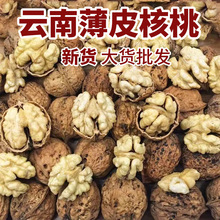 云南薄皮核桃丑核桃新货纸皮薄壳跑江湖地摊干山核桃麻子核桃批发