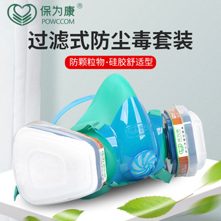 Baoweikang 3900 gas mask spray paint special dust mask activated carbon mask chemical pesticide protection