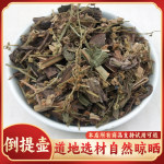 热卖倒提壶 云南野生蓝布裙 狗屎花 狗屎萝卜 狗屎蓝花 500g克