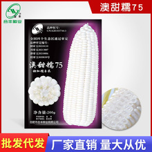 �������ض��ܷN������Ŵ75���׷N����Ŵ���׷N�������ѷN���S�N�I