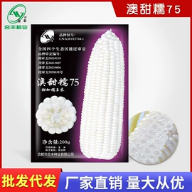 蔬菜种子;粮食作物种子;营养液