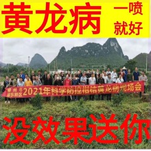 ���P��̖�S�����Ӹ����S�~2����ɰ�ǚ������S���S�����M���S����