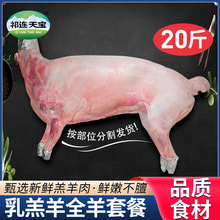 ��ԭɢ�Bȫ����ֻ20���������r�������������ϐ�ӿ�ȫ����؛�Y��