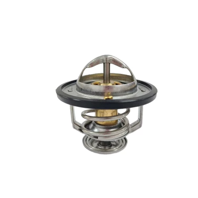 2120058G04 21200C1201, Thermostat
