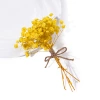 Yellow baby's breath/about 10g