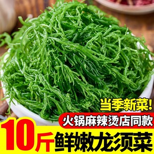 ��횲����r���ݛ�����횲˺����r��횲˾Gɫ�߲�ʯ����  �S��ֱ�N