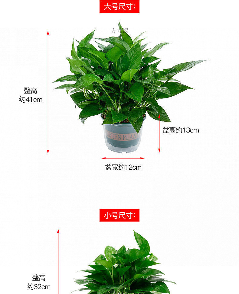 4e9338f7-e4b5-4a2b-9ddf-00463e8a2158.jpe