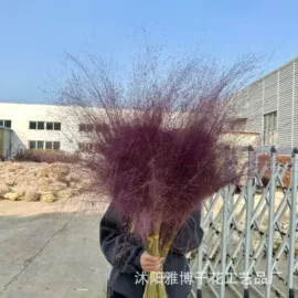 干花;鲜花花艺制品;仿真绿植
