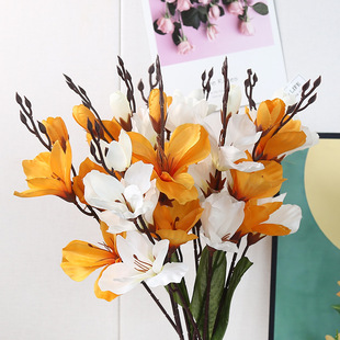 ���滨�����m��5��15�佁���ҾӲ͏d�Ƶ�[ٻ��S�Ҷ������l