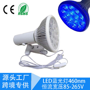 ���R�d���N led�{�����par38���� ����460nm���S��đ�ͺ��{���