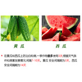 先正达 Зеленый Фей клубника огурец роза мучнистая роса пираклостробин азоксистробин фунгицид 10 мл