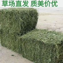 ���a���|�ϻ���ޣ�ɲ����Rţ�����ι�B�S��ޣ�ݰ��Bֳ����ϲݶ�