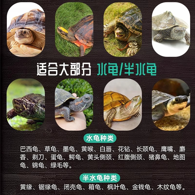 Nutritious Turtle Food Stone Money Turtle Food Snapping Turtle Food Brazilian Turtle Food Turtle Food Water and Land Baby Turtles Fish Shrimp Dried Turtles