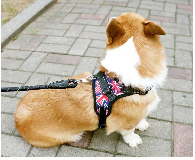 h2uTiviiztSHn2aJjQ1VWrN+OeSboZhhP+eW