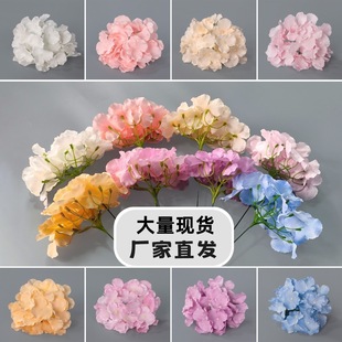 �����^27Ƭ��Ƭ��c���滨��Y�þƵ��픻�·�����żٻ��b�