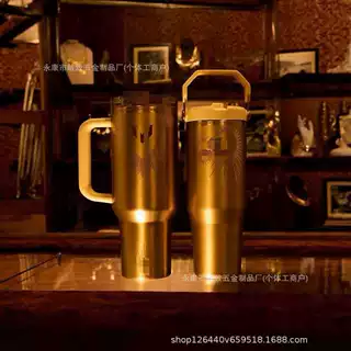 Messi x Stanley 1913 防漏吸管杯梅西联名款限定保温保冷冰霸杯