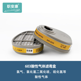 Occupational Ankang 603 Anti-Acidic Filter Box Paint Chloride Hydrogen Dioxide Sulfur Dioxide Hydrogen Sulfide Anti-Virus Filter Box