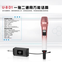 国境を越えた高品質の家庭用KTV屋外専用ハンドヘルドワイヤレスマイク1対2プラグアンドプレイ