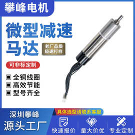 厂家定制机器人微型直流减速电机空心杯无刷静音电机12mm小马达
