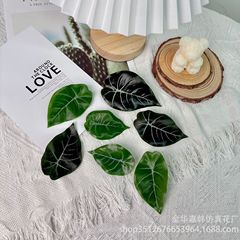 仿真合果芋叶片仿DIY藤条配件仿真绿植仿真绣球花叶仿真树叶