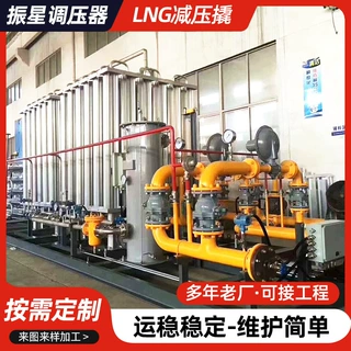 定制气化器撬天然气LNG汽化器燃气调压撬减压撬空温式气化器