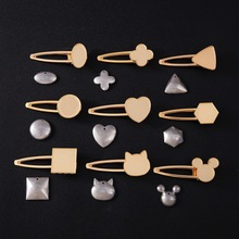 Ӣ�|�ƷDIY ���\�l�A���а��ێ��w ���L�N��ˇ߅�A�^���