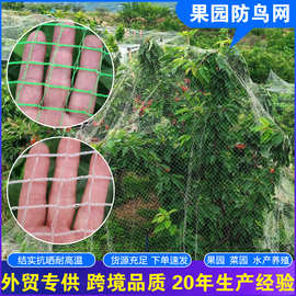 果园防鸟网大棚樱桃防护天网庭院拦鸟网农田鱼塘养殖防护鸟罩驱鸟