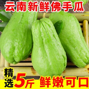 ������r���ֹϬFժ�����z�ϬF�l�C���r���ԷN�����߲˷��ֹ�