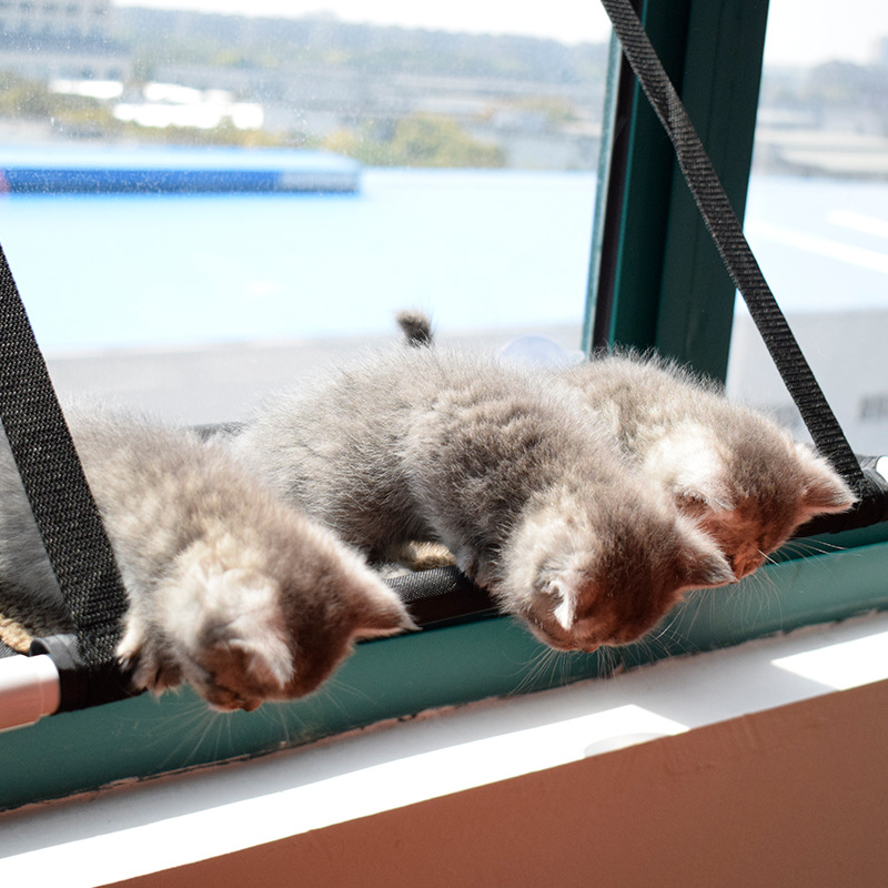 Leyoupai suministro directo de fábrica para mascotas hamaca al por mayor colgando gato hamaca ventana extraíble y lavable gato nido estera