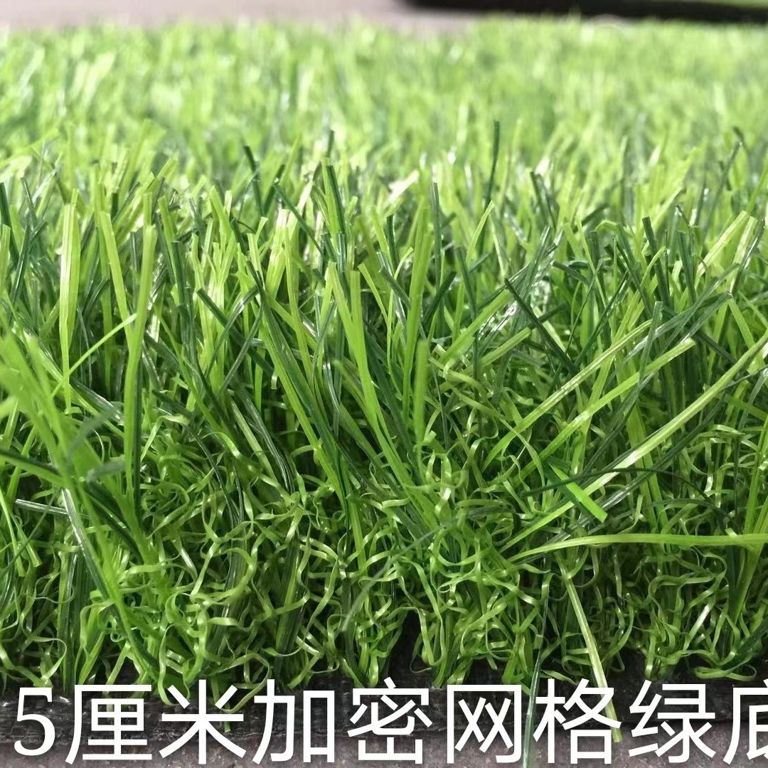 Hierba densa especial de la primavera de los 5cm