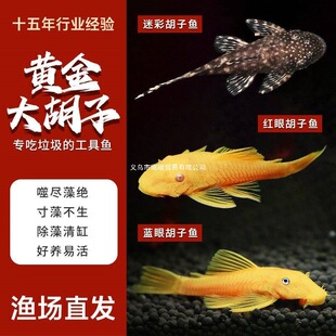 ��׹����~�{�ۺ����~�t���Բ��~���坍�~�ݸ�С�͟Ꭷ�^�p�~