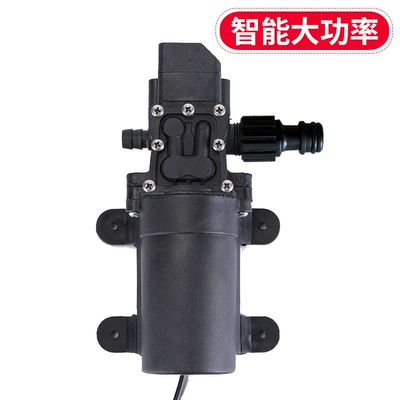 12V Car Wash Pump, Car-Mounted Portable car washer