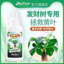 悠利发财树肥料肥家庭园艺浓缩植物营养液水培通用型黄叶烂根