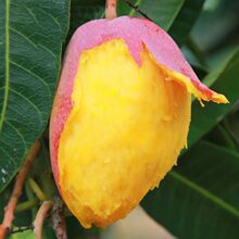 �F��ââ�����r�Ꭷˮ���t�����V������â����â4.5/8��