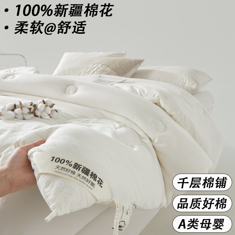 Class a Washed Cotton Wrinkled Yarn 100% Cotton Quilt Core Thickeneded Hotel Winter Quilt Spring & Fall Quilt Summer Quilt