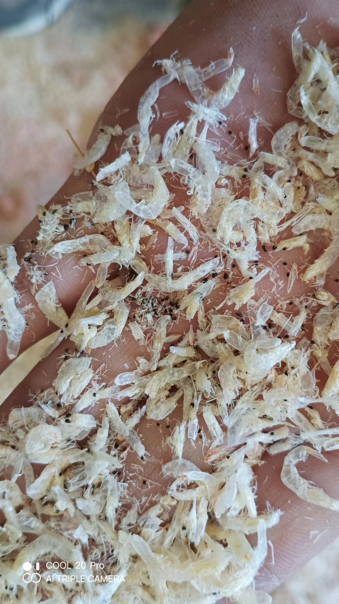 微信图片_20230209202655