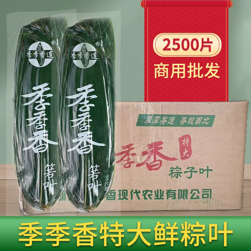 Сезоны Ароматные свежие Zongye Целая коробка Коммерческие очень большие листья Zongzi Листья Indocalamus Вакуумная упаковка 50 штук x 50 упаковок в коробке