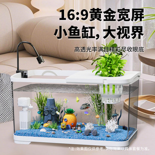 �~���쾰ȫ�׎��^�Vһ�w2025���¿�͏d��������С�~�����B�^�p�~