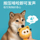 Paisway joint name Garfield dog relief toy ball voice pet Corgi Teddy golden retriever puppy interaction
