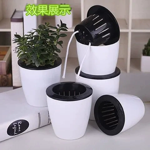 Ленивый цветочный горшок автоматически впитывает зеленую розу