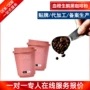 定制纤维燕麦血橙咖啡粉